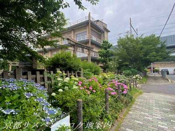 神社前の道