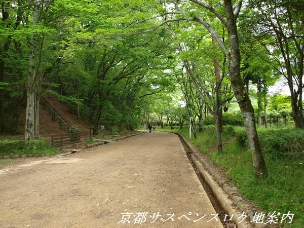 公園