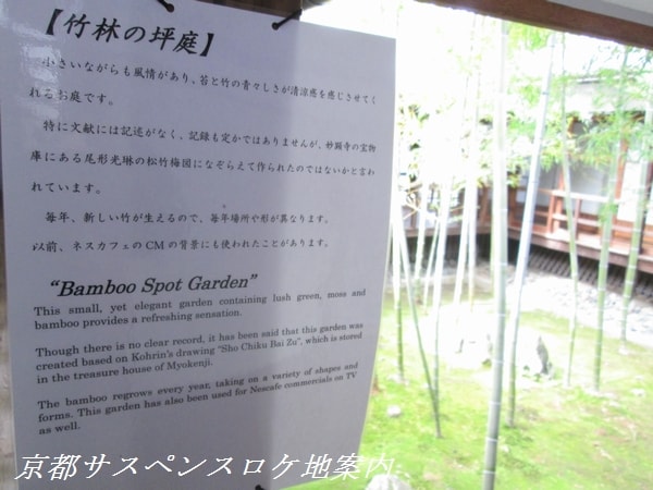 竹林の坪庭