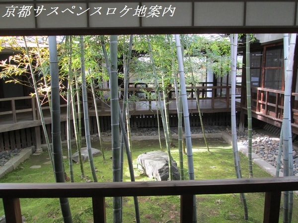 竹林の坪庭