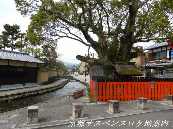 藤木社