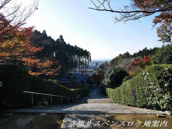 市街が見える